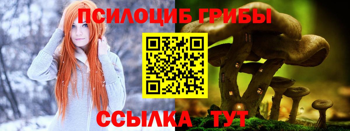 Галлюциногенные грибы мицелий  Вход с VPN  Осинники 